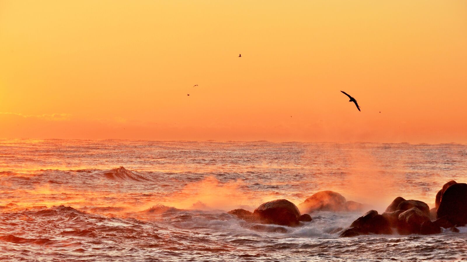 Nikon D800 sample photo. Morning, sunrise, landscape photography