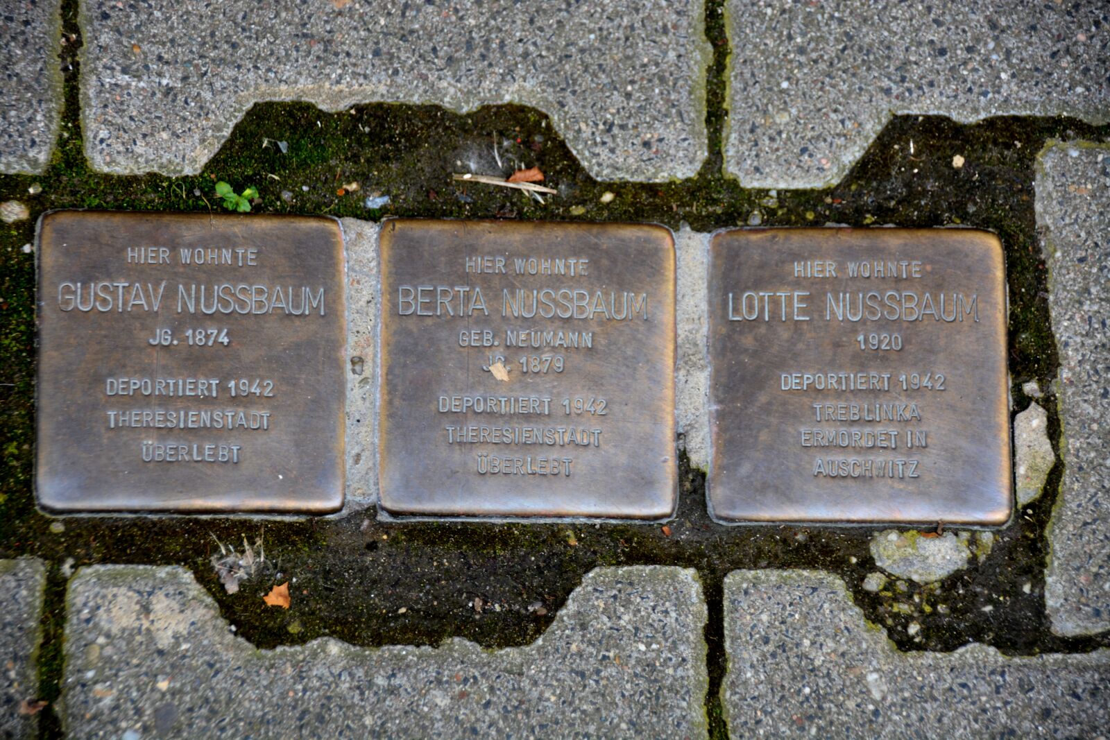 Nikon D7100 sample photo. Stumbling blocks, nazi crimes photography