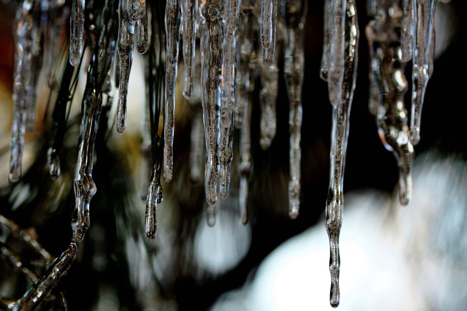 Canon EOS 450D (EOS Rebel XSi / EOS Kiss X2) sample photo. Icicles, winter, ice photography