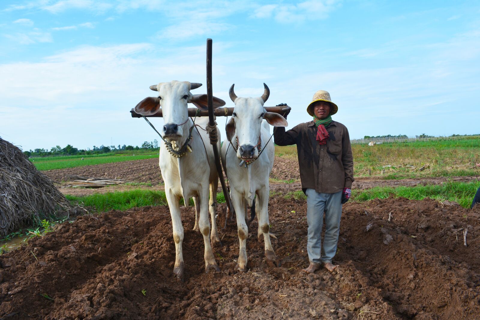 Nikon D5200 sample photo. Farmer, cow, worker photography