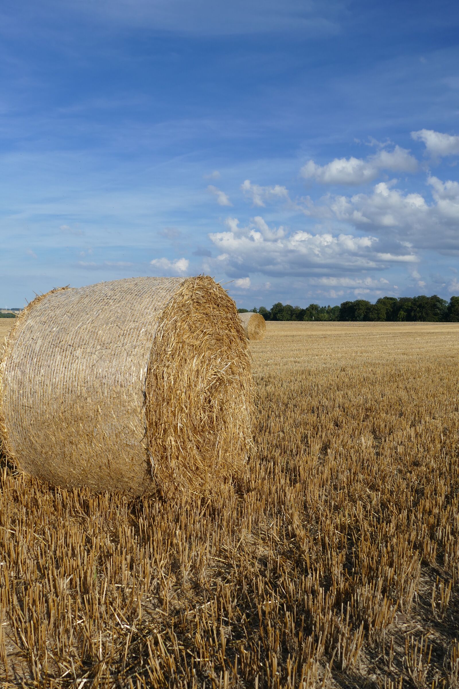 Panasonic Lumix DMC-FZ1000 sample photo. Nature, hay bales, arable photography