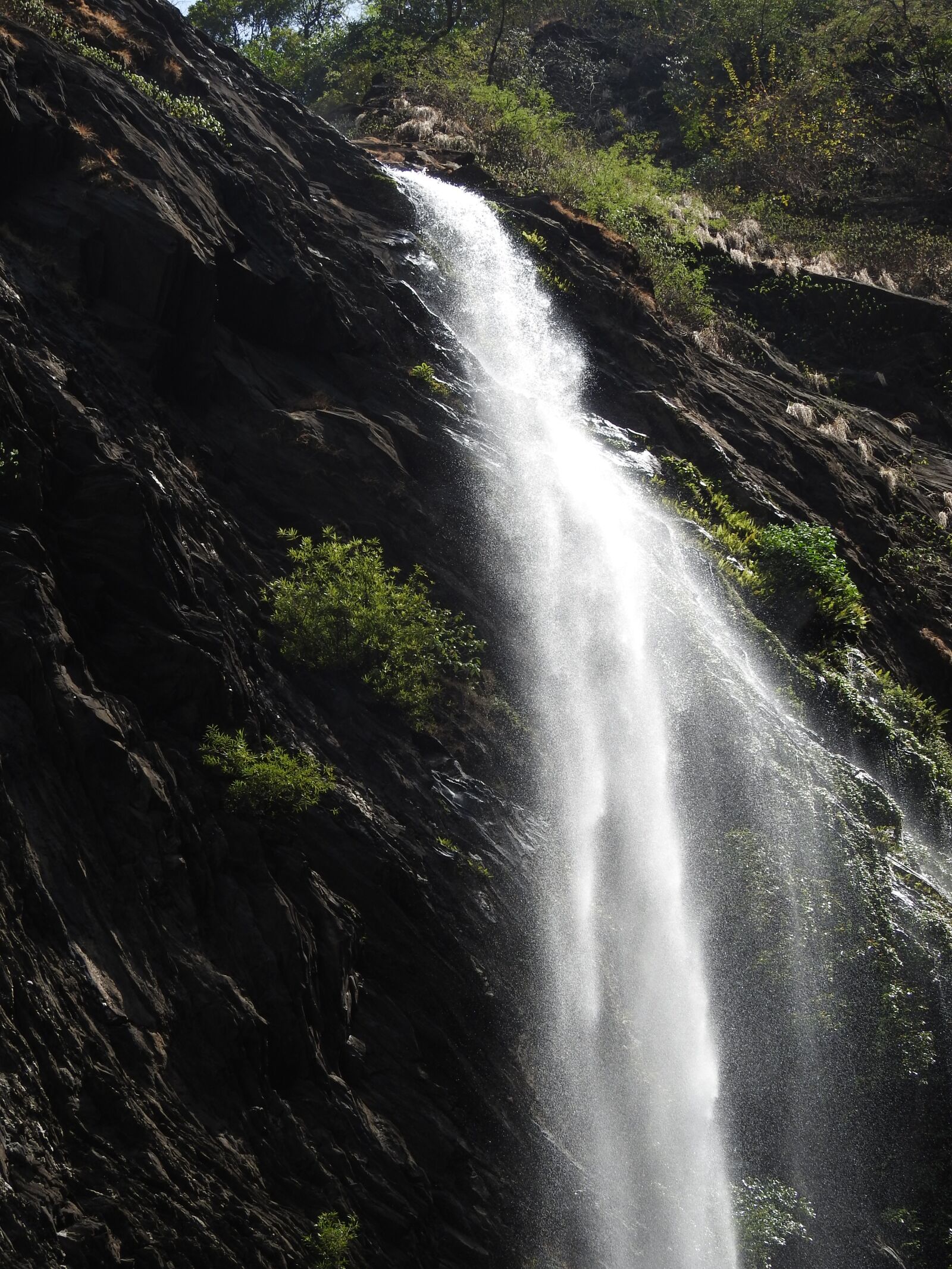 Nikon Coolpix P900 sample photo. Falls, green, water photography