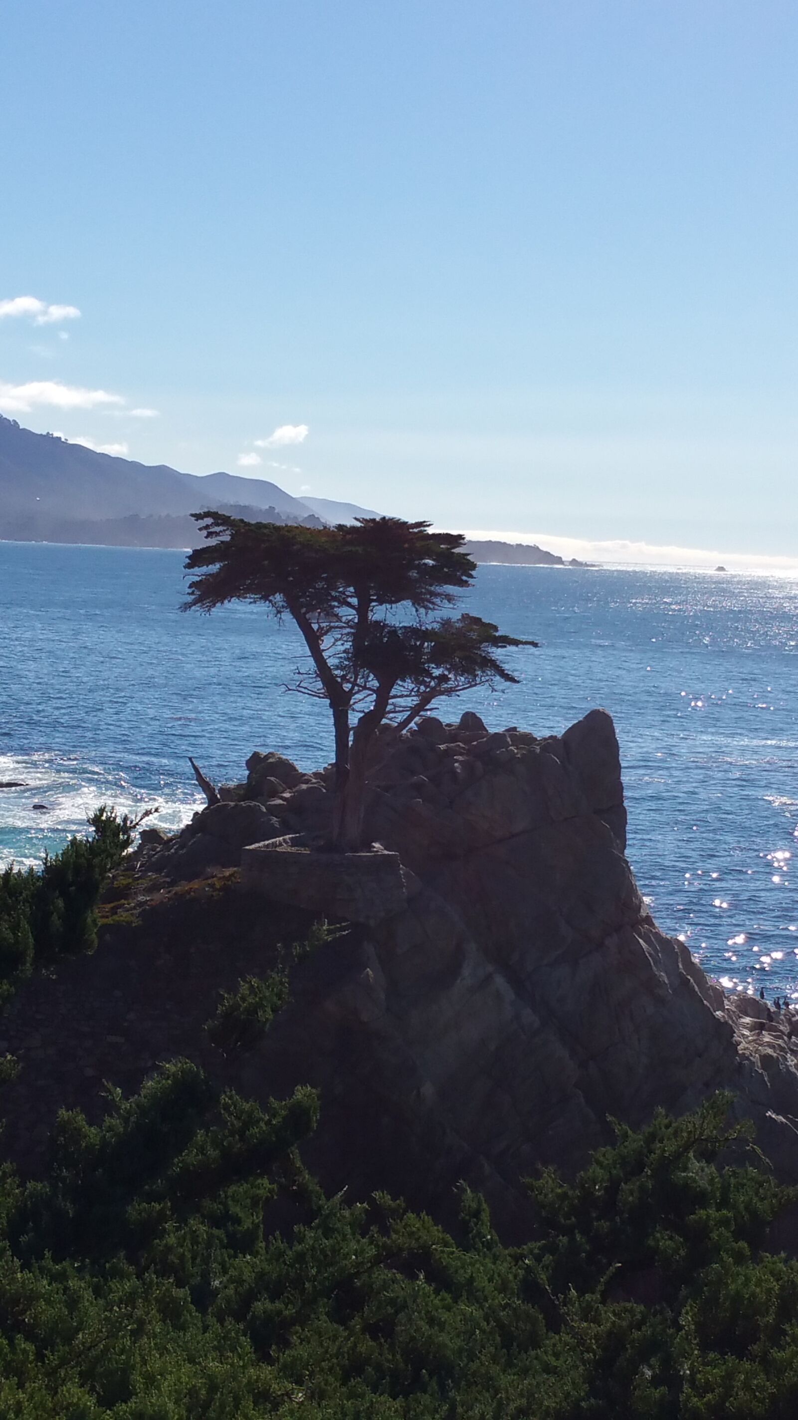 Samsung Galaxy Note4 sample photo. Lone cypress, monterey, coast photography