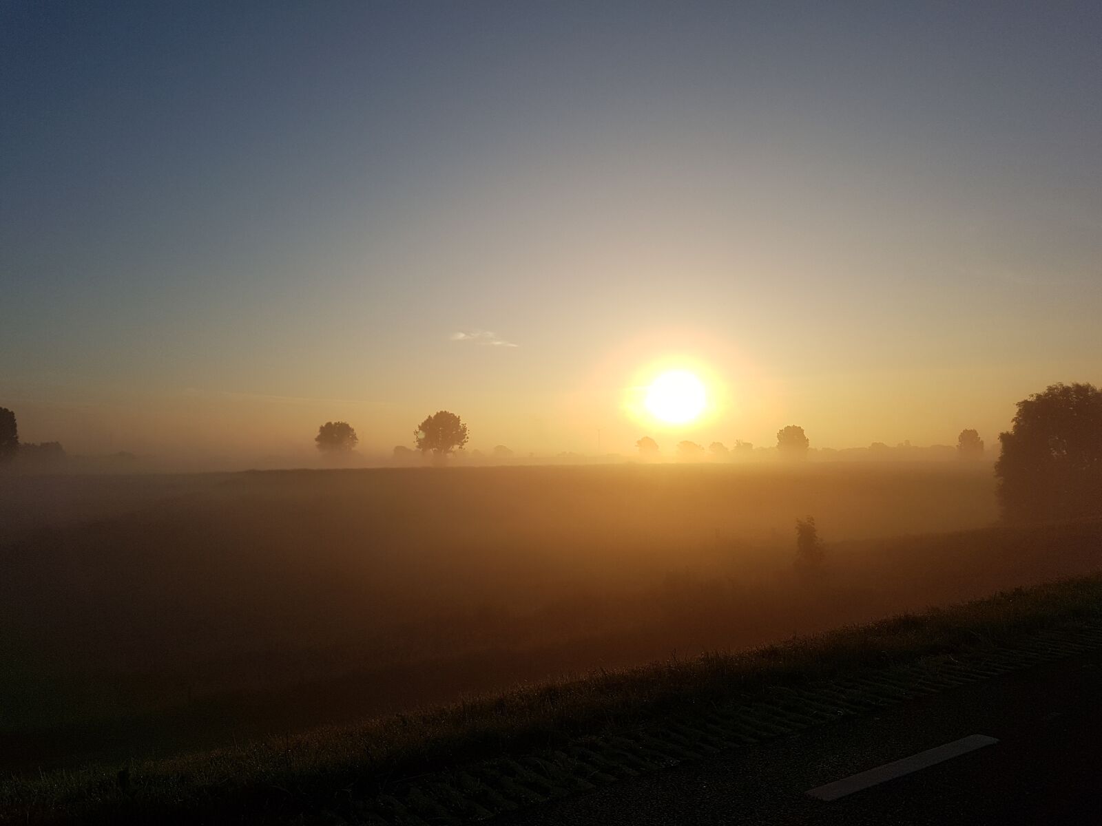 Samsung Galaxy S7 sample photo. Morning sun, fog, nature photography