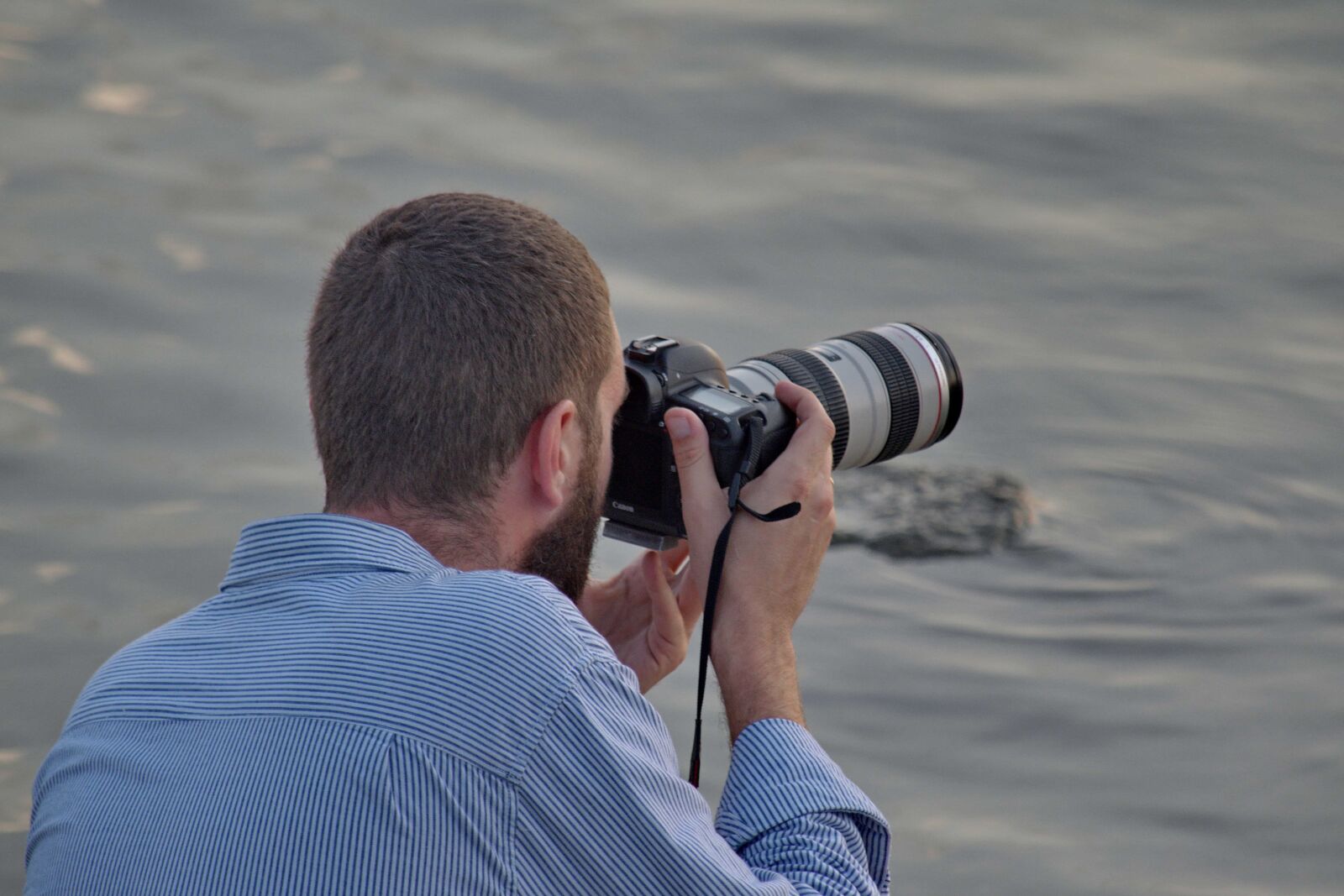 Nikon D5500 sample photo. Lens, man, photographer, photojournalist photography