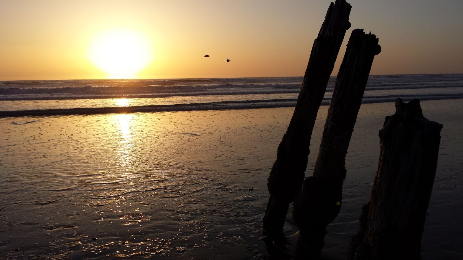 Samsung Galaxy S4 sample photo