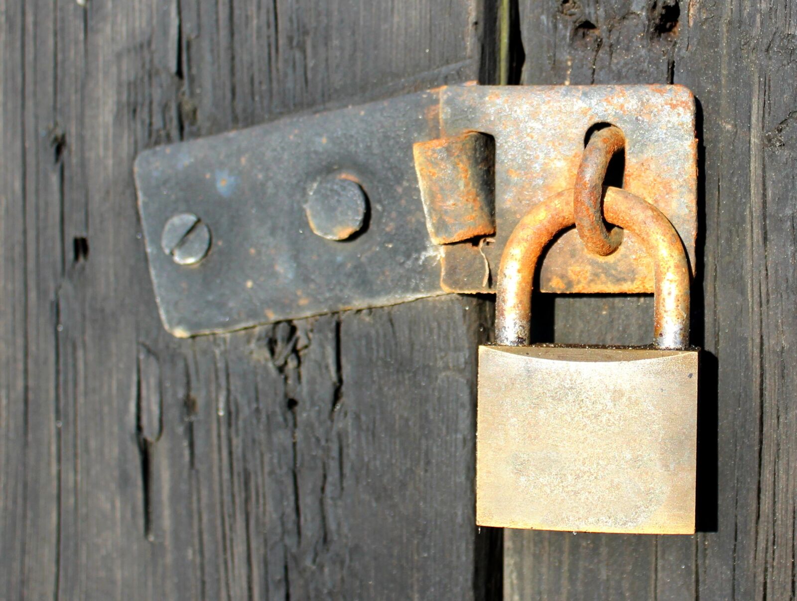 Canon EOS 1300D (EOS Rebel T6 / EOS Kiss X80) sample photo. Padlock, weather-beaten, shed photography