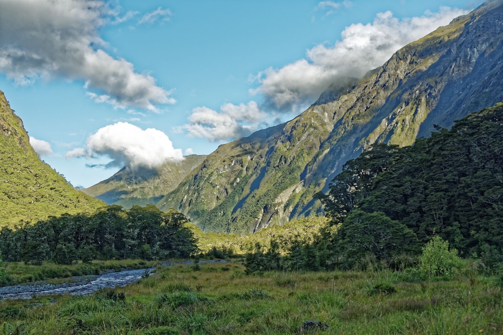 Nikon D500 sample photo. New zealand, monkey creek photography