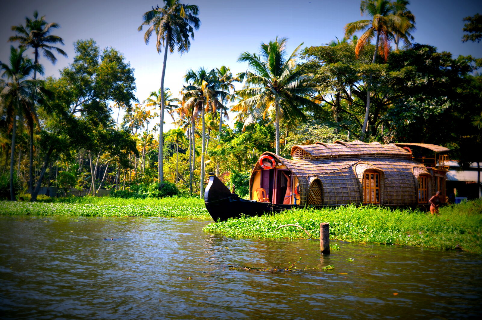 Nikon D3200 sample photo. Boats, coconuts, houseboats, kerala photography