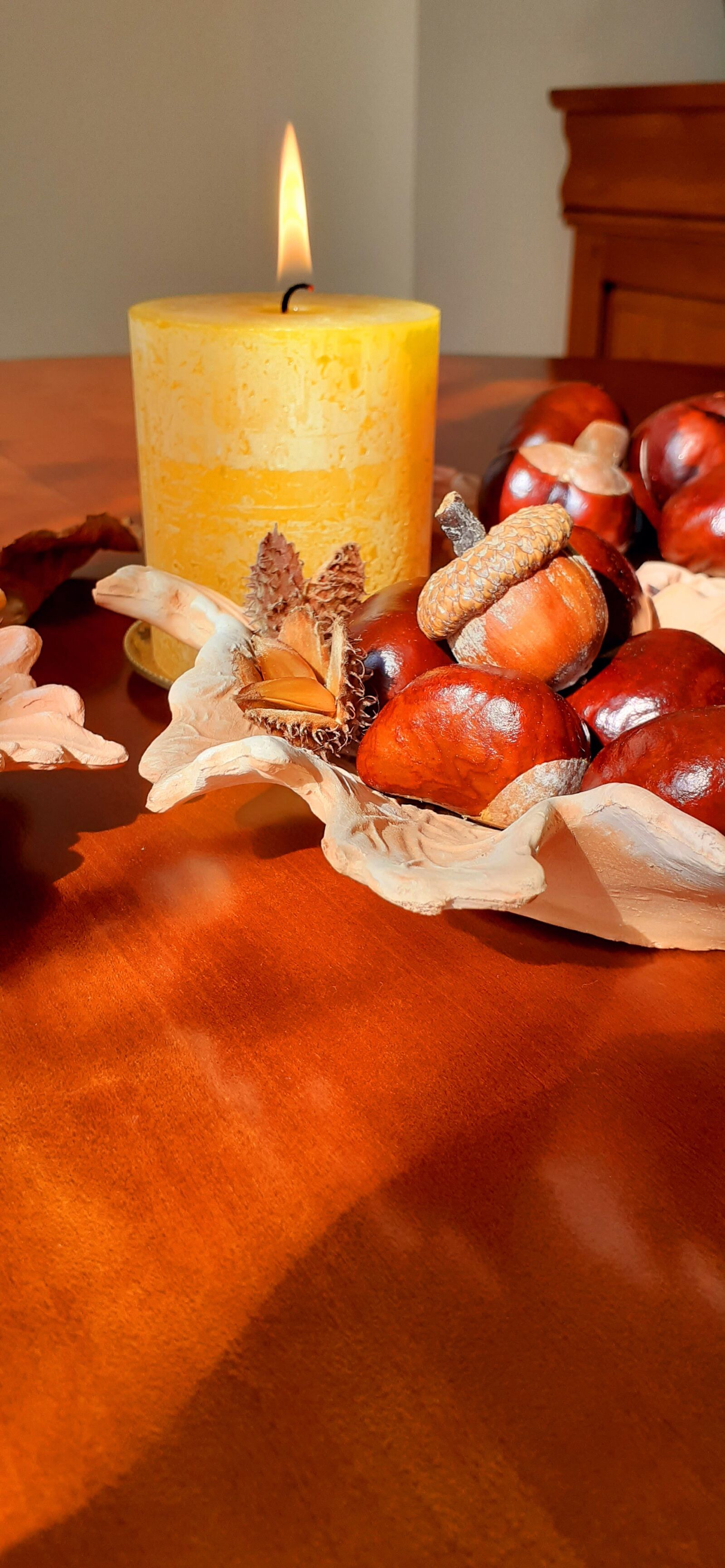 Samsung SM-A202F sample photo. Autumn, brown, decoration photography