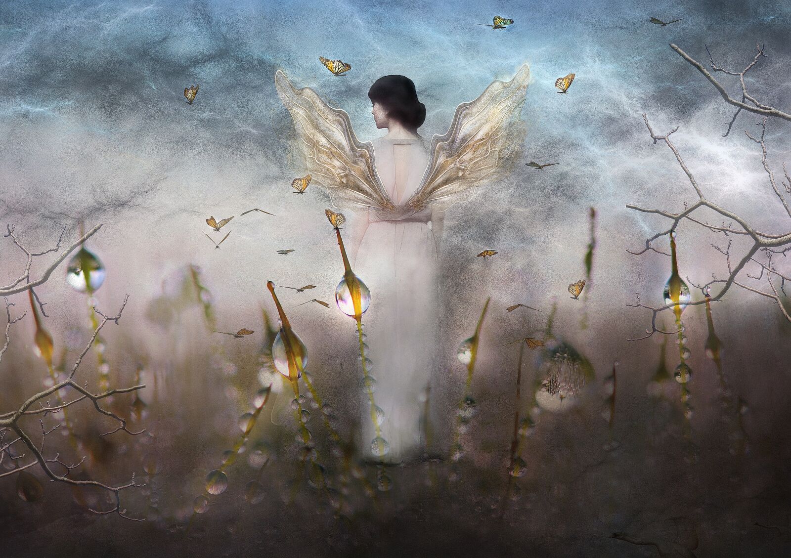 Nikon D3S sample photo. Fairy, butterflies, sky photography