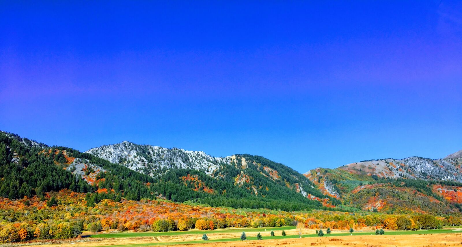 iPhone 6s Plus back camera 4.15mm f/2.2 sample photo. Landscape, autumn, nature photography