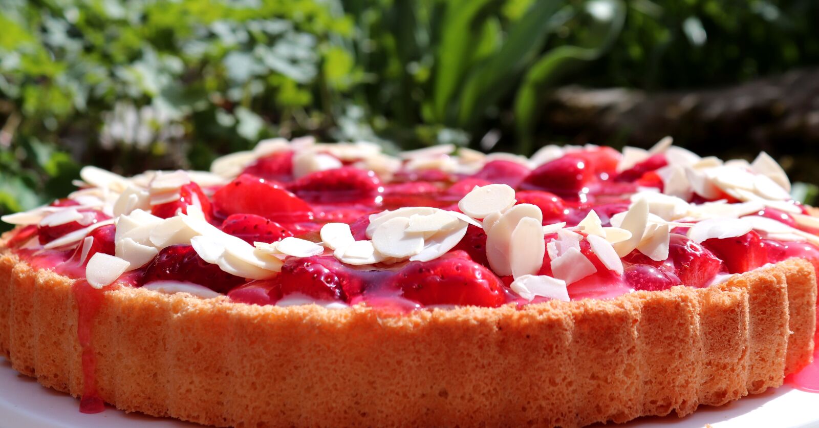 Canon EOS 200D (EOS Rebel SL2 / EOS Kiss X9) sample photo. Strawberries, cake, food photography