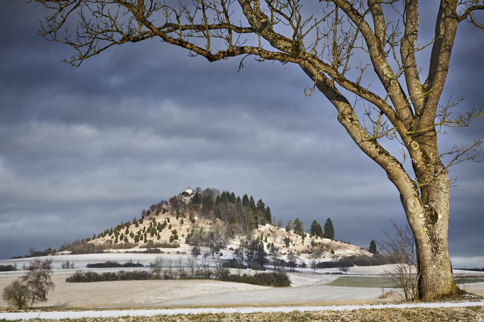 Sony ILCA-77M2 sample photo. Tree, nature, landscape photography