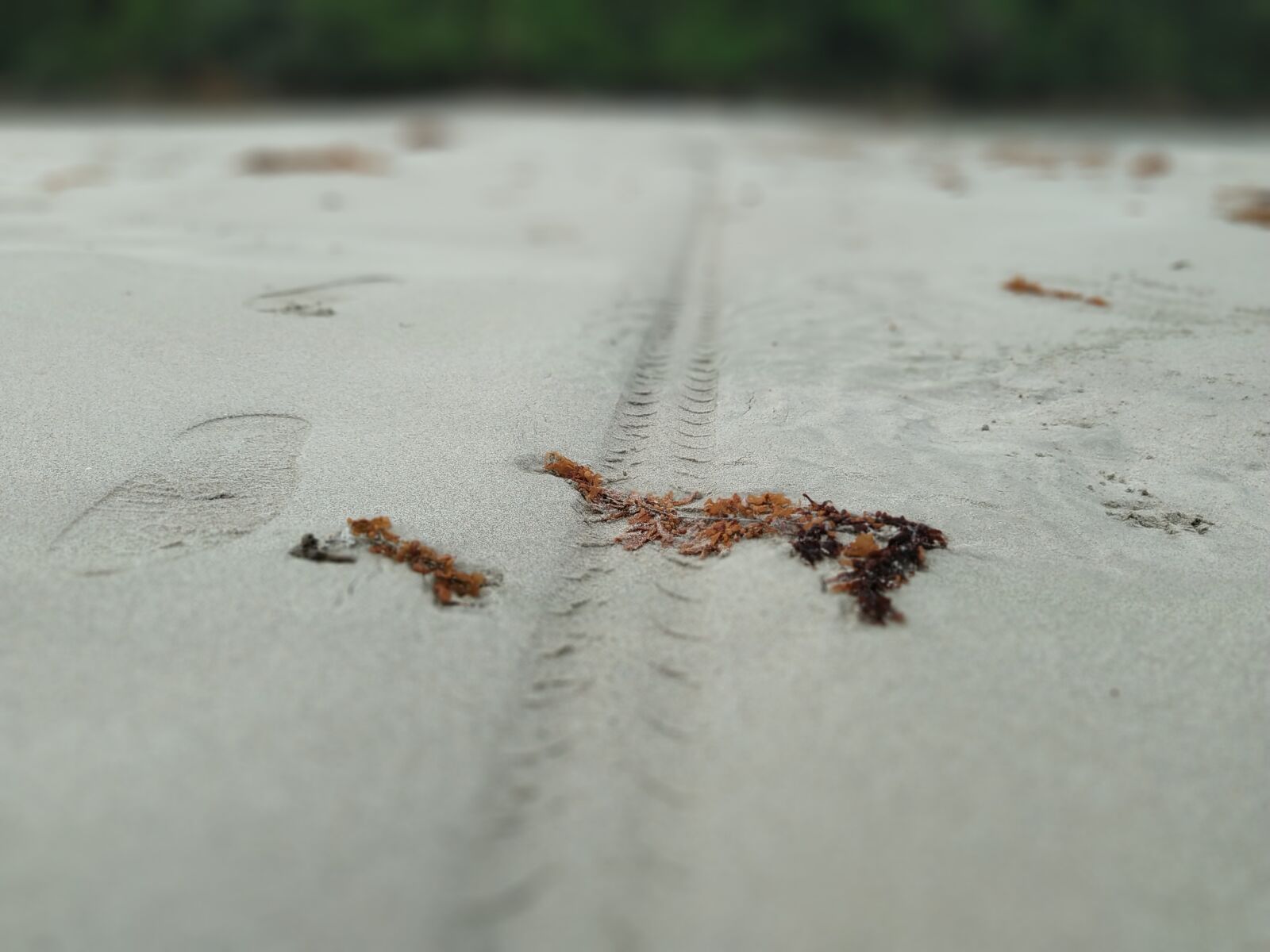 ASUS X01BDA sample photo. Sand, beach, tire mark photography