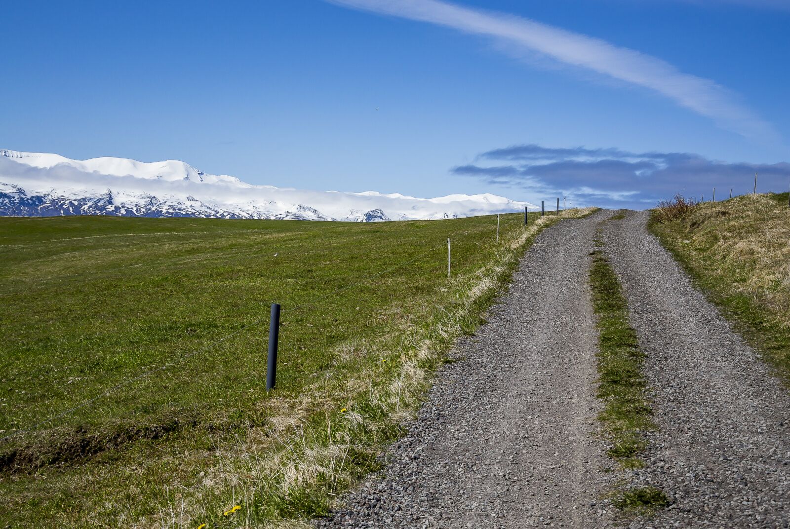 Nikon D3100 sample photo. Landscape, sunny, road photography