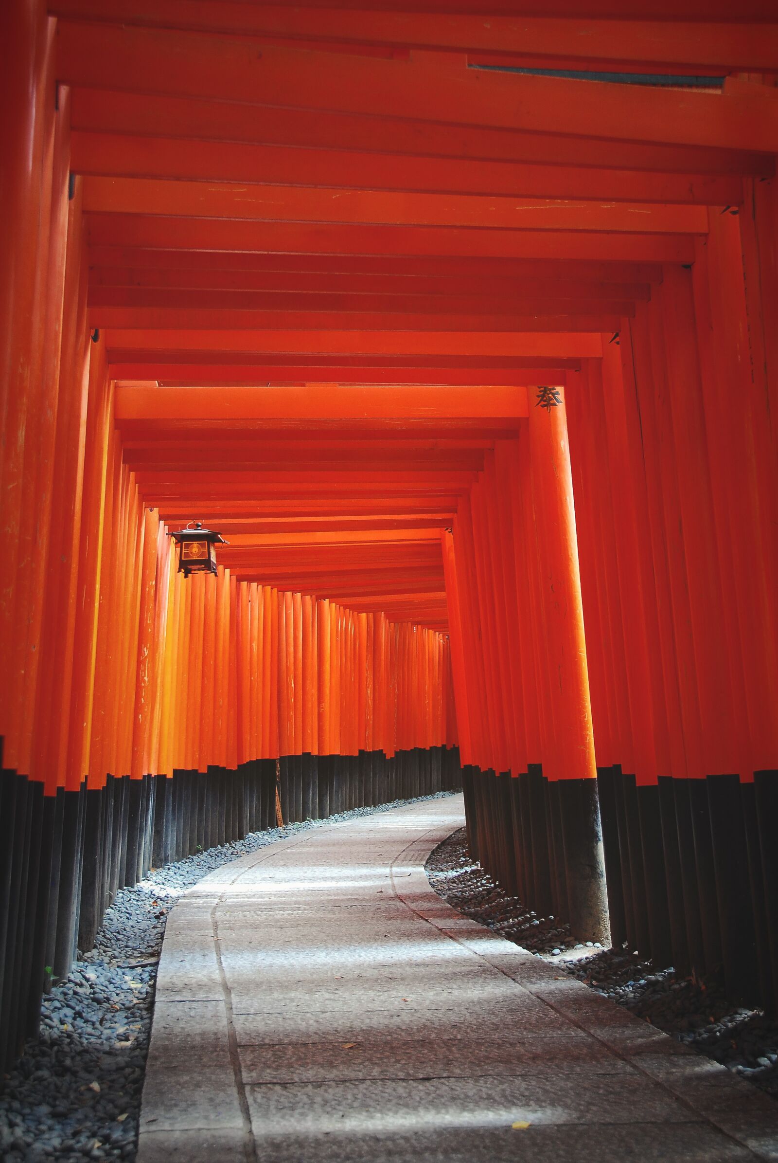 Nikon D40X sample photo. Torii, gate, japan photography