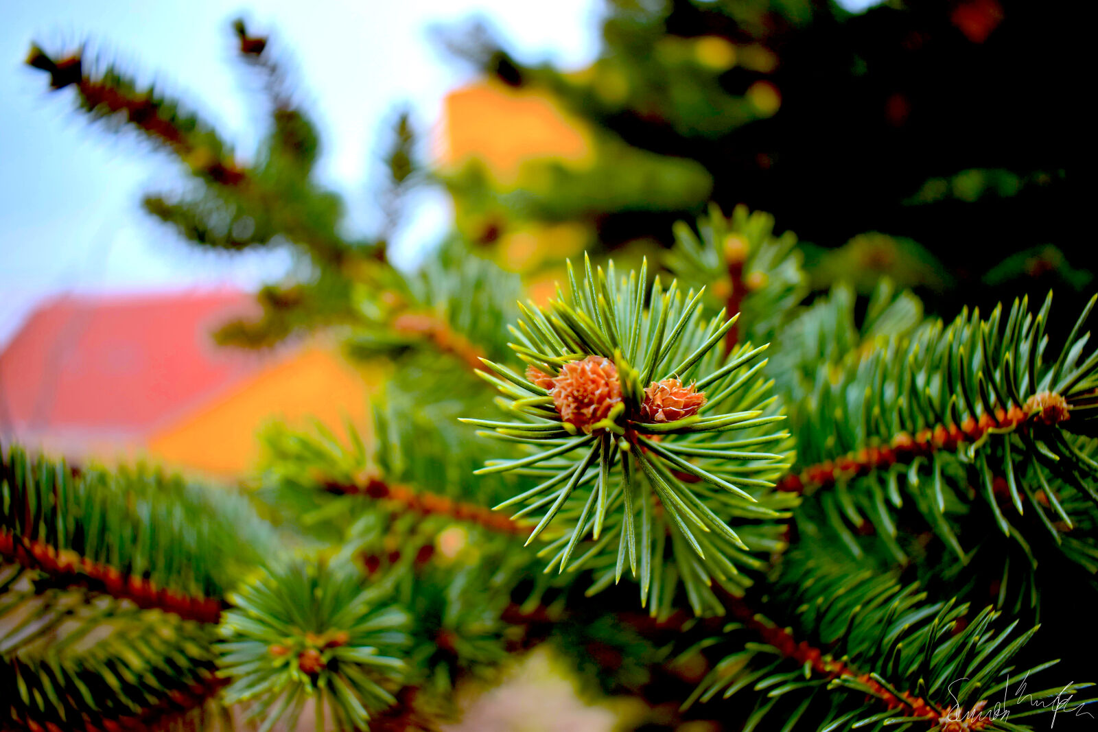 Nikon D3300 sample photo. Landscape, photography photography