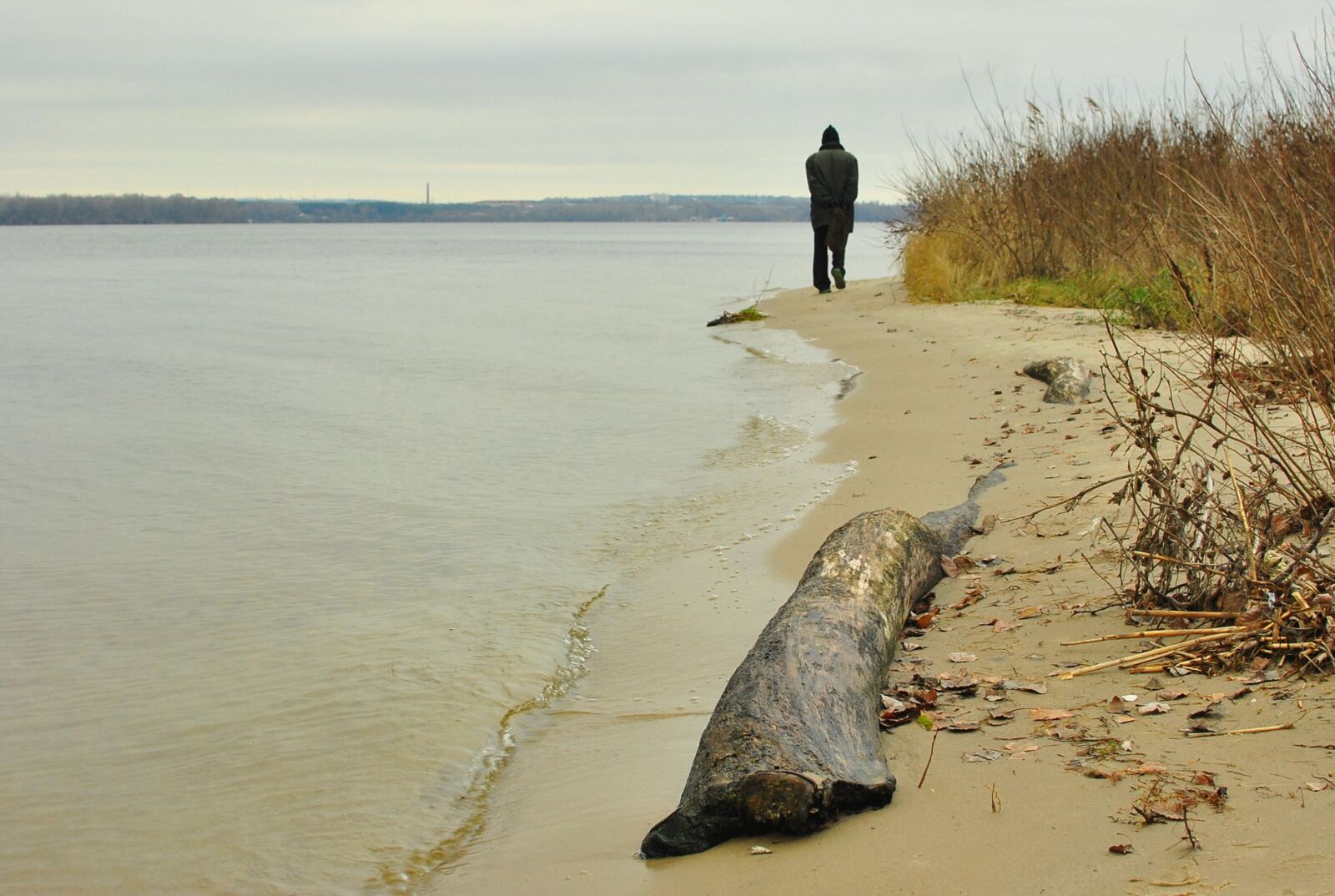 Nikon D3000 sample photo. River, balance beam, man photography