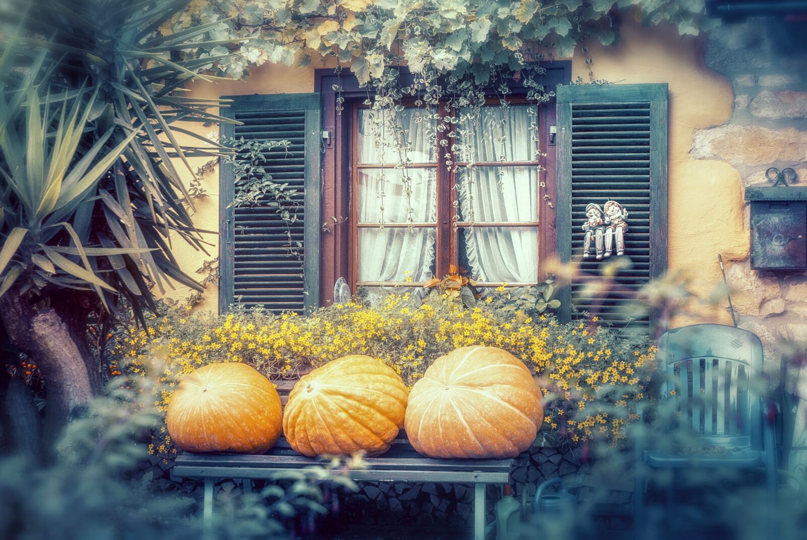 Nikon D200 sample photo. Autumn, pumpkin, halloween photography