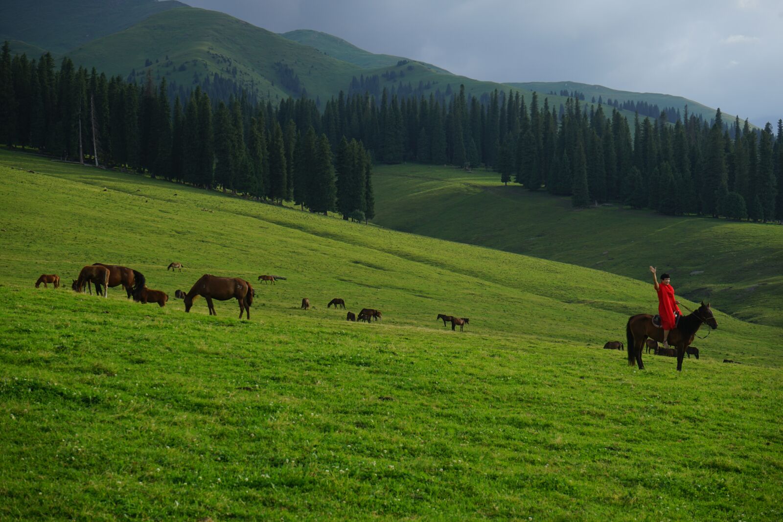 Sony a7 II + Sony FE 28-70mm F3.5-5.6 OSS sample photo. Grassland, horseback riding, woods photography