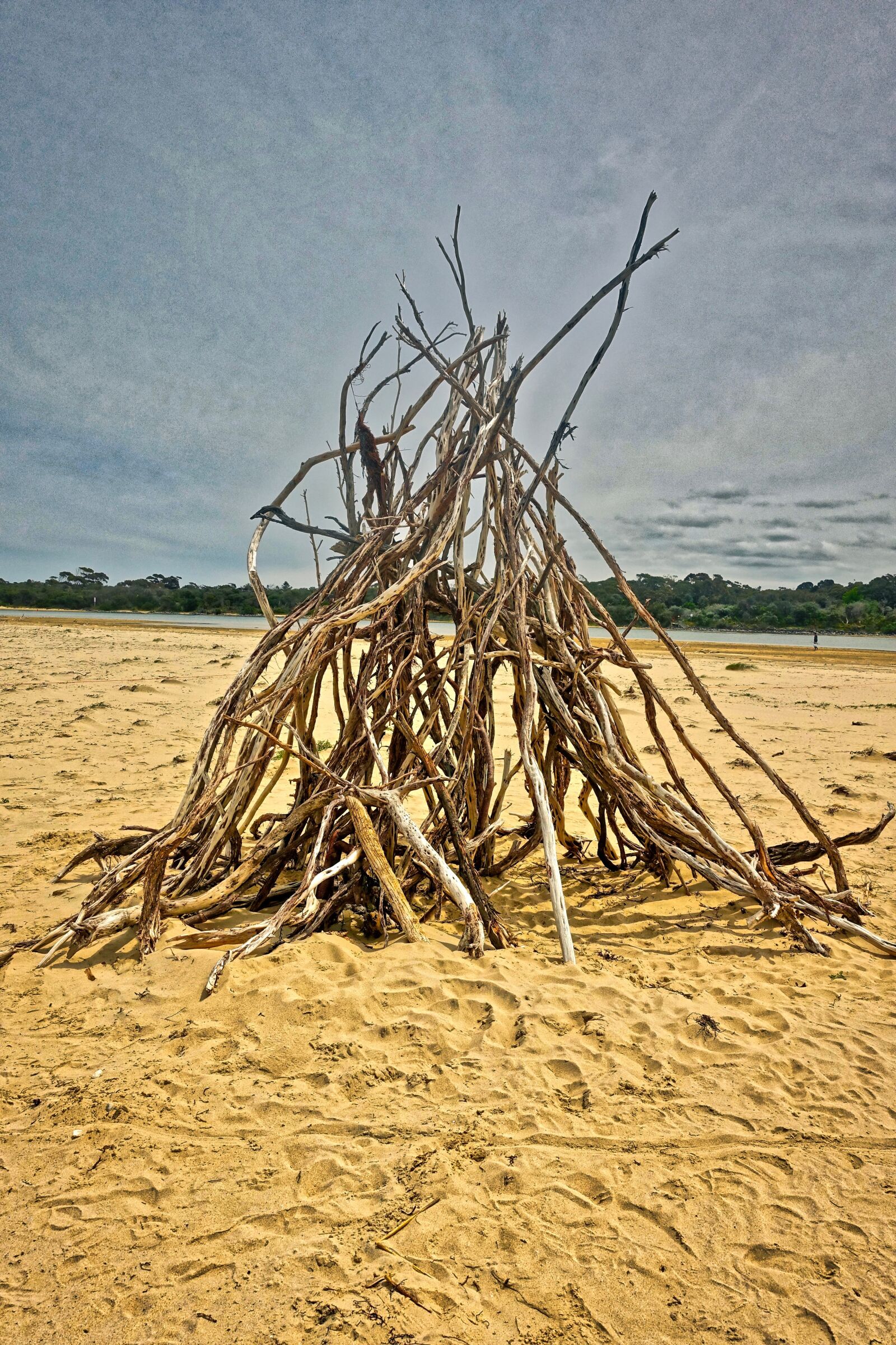 Sony Cyber-shot DSC-RX100 III sample photo. Teepee, driftwood, art photography