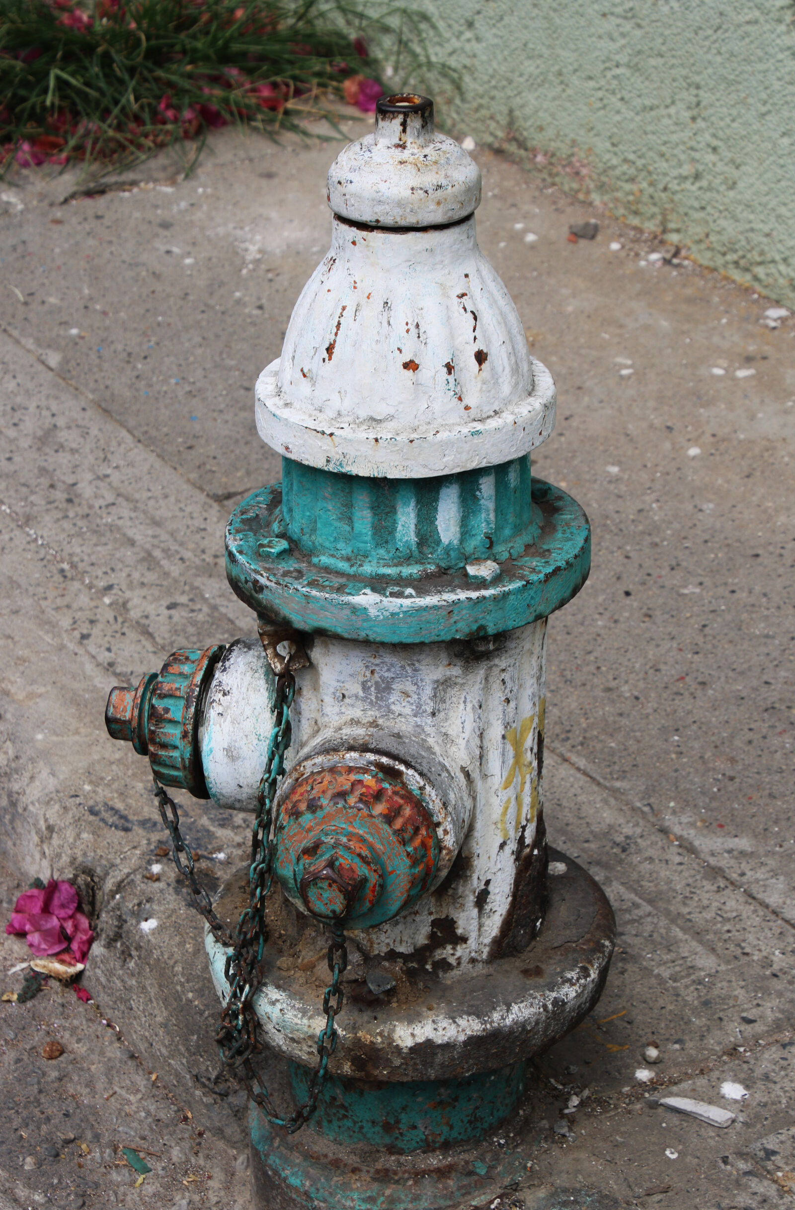 Canon EOS 7D Mark II sample photo. City, green, old, plumbing photography