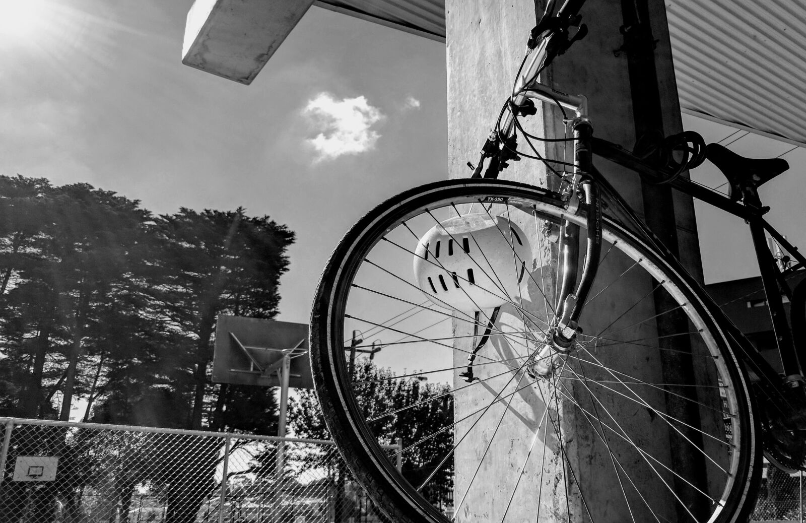 Google Pixel XL sample photo. Bike, black white, bicycle photography