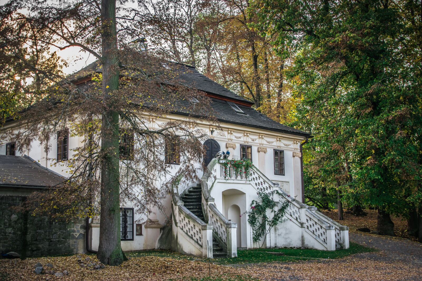 Nikon D5300 sample photo. Castle, architecture, building photography
