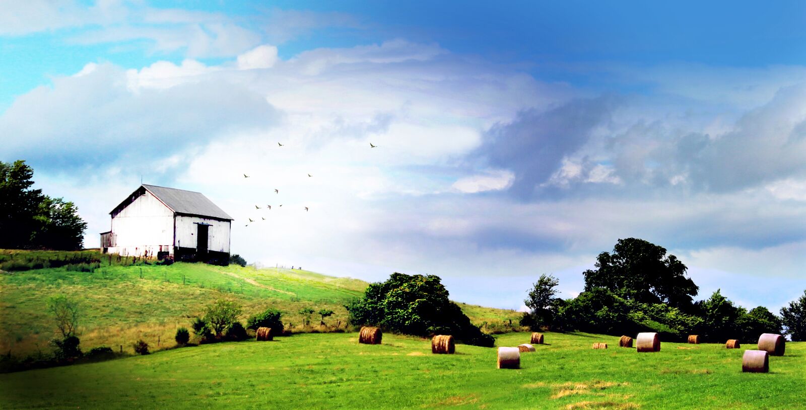 Canon EOS 600D (Rebel EOS T3i / EOS Kiss X5) sample photo. Shenandoah valley, barn, farm photography
