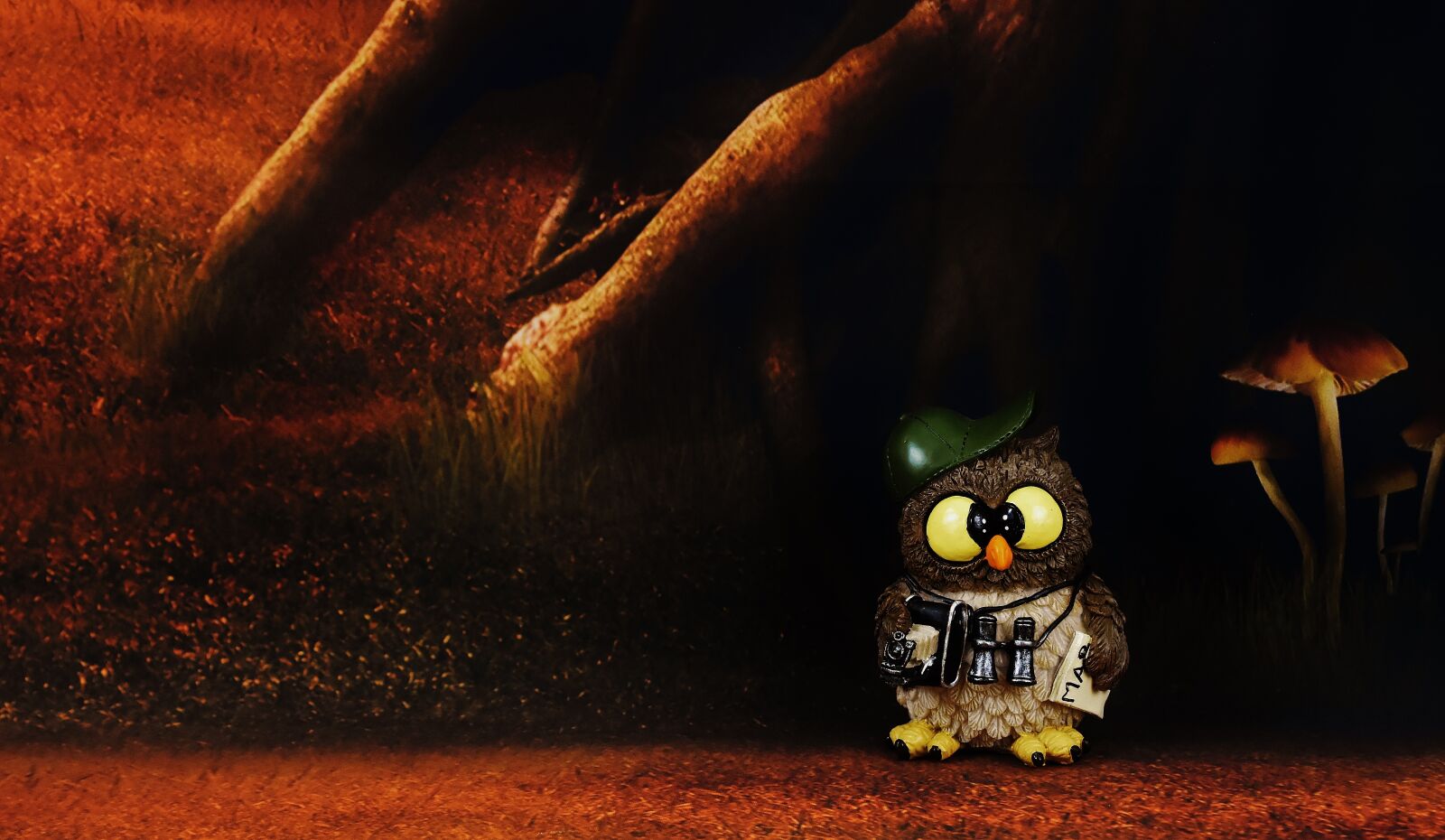 Nikon D7200 sample photo. Photograph, owl, figure photography