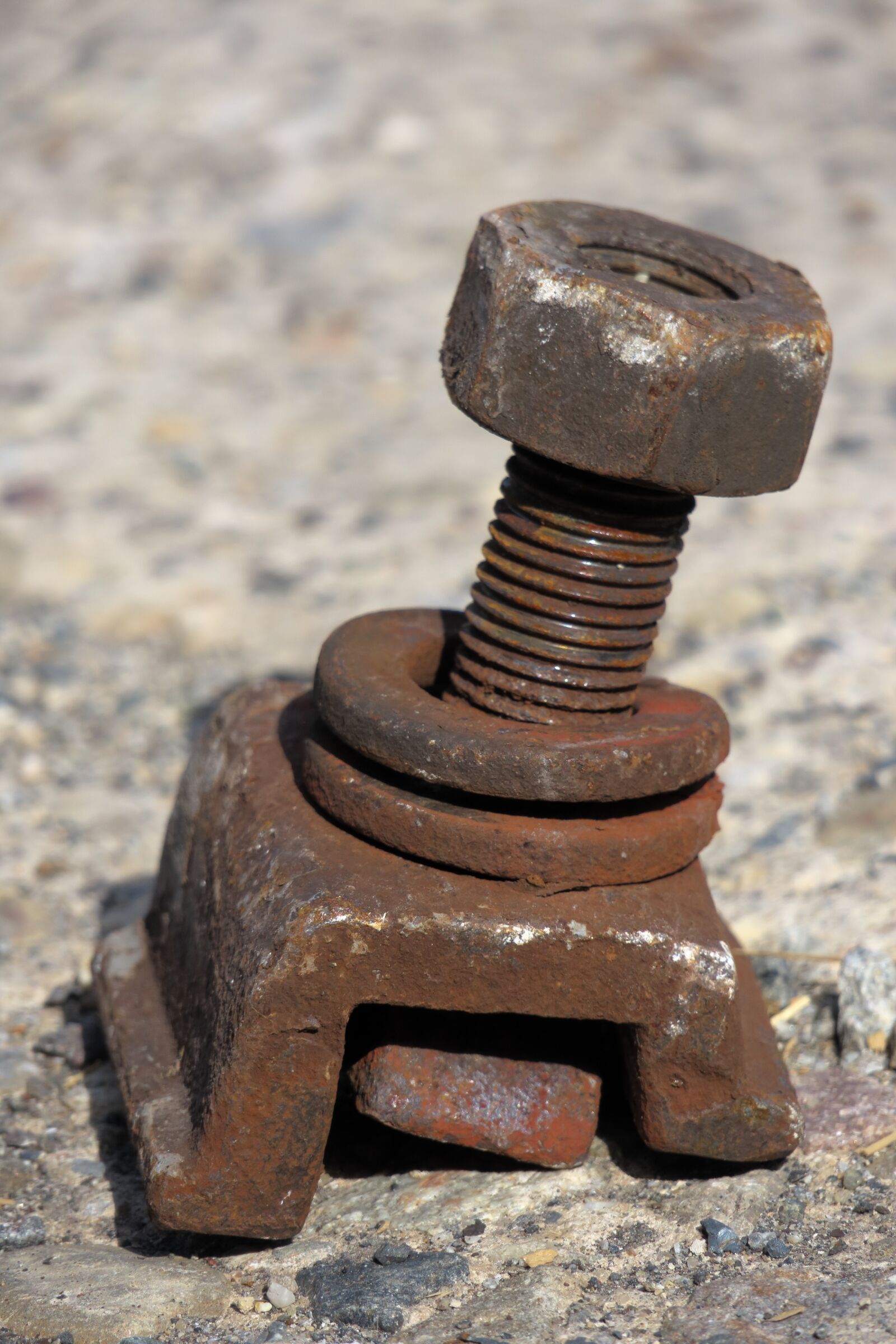 Canon PowerShot G3 X sample photo. Mother, screw, iron photography