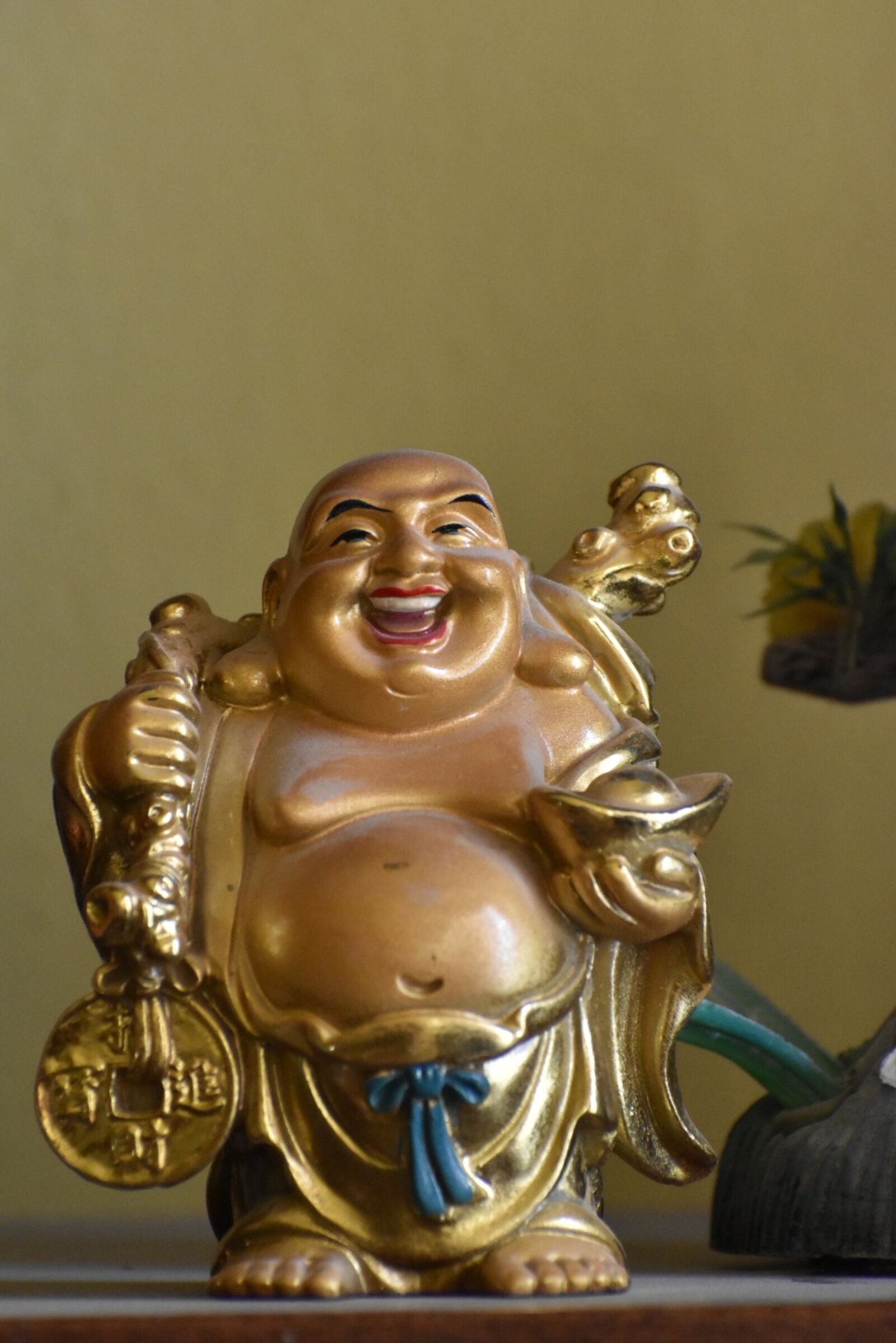 Nikon D5600 sample photo