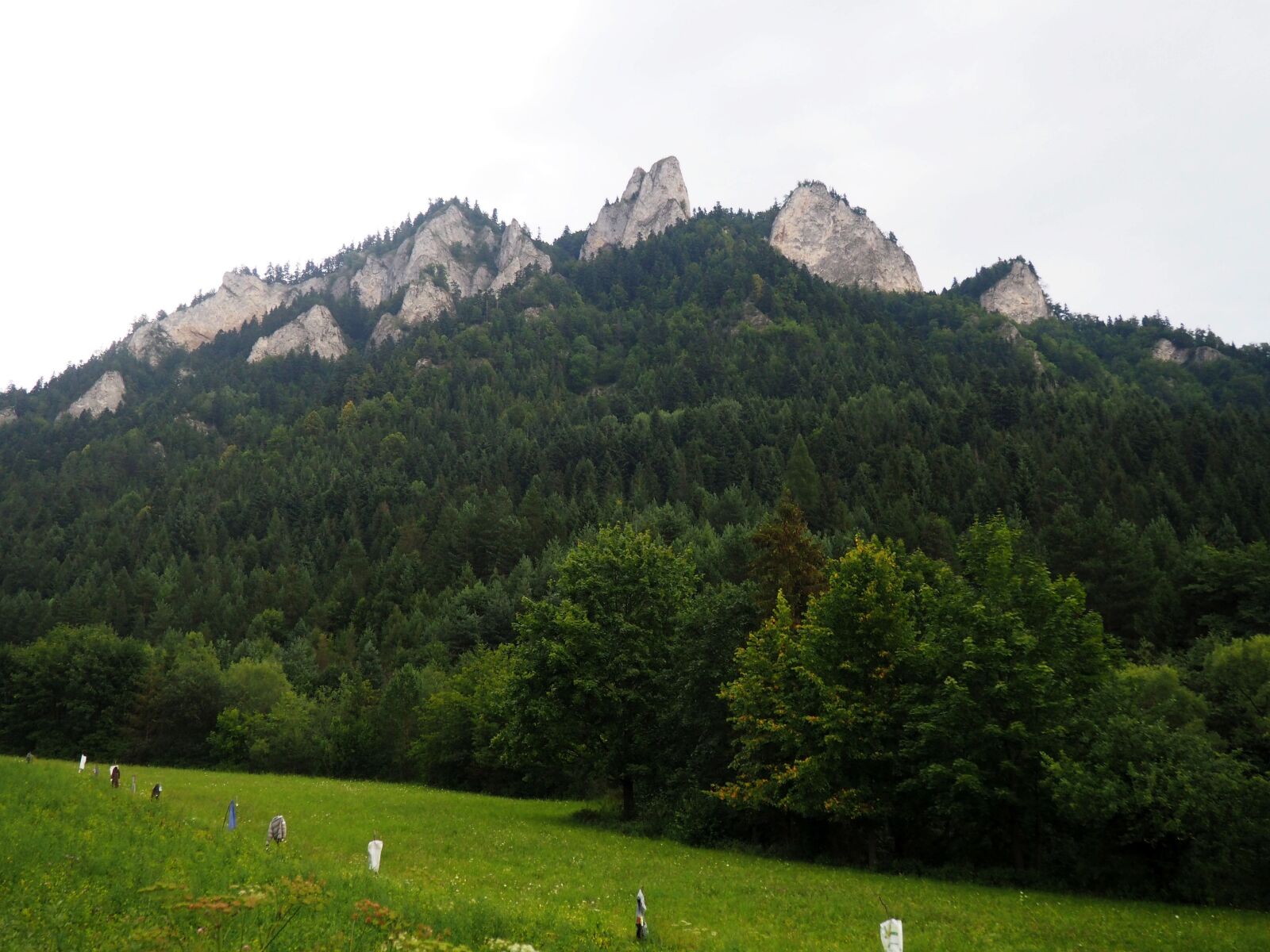 Olympus OM-D E-M10 sample photo. Pieniny, the three crowns photography