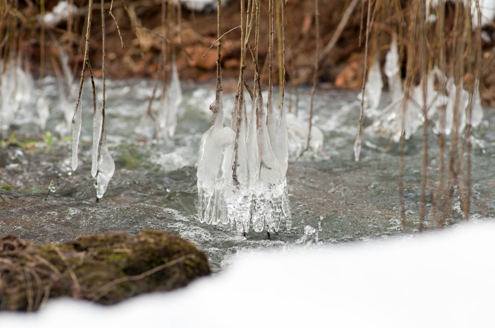 Nikon D300S sample photo. Winter, snow, nature photography