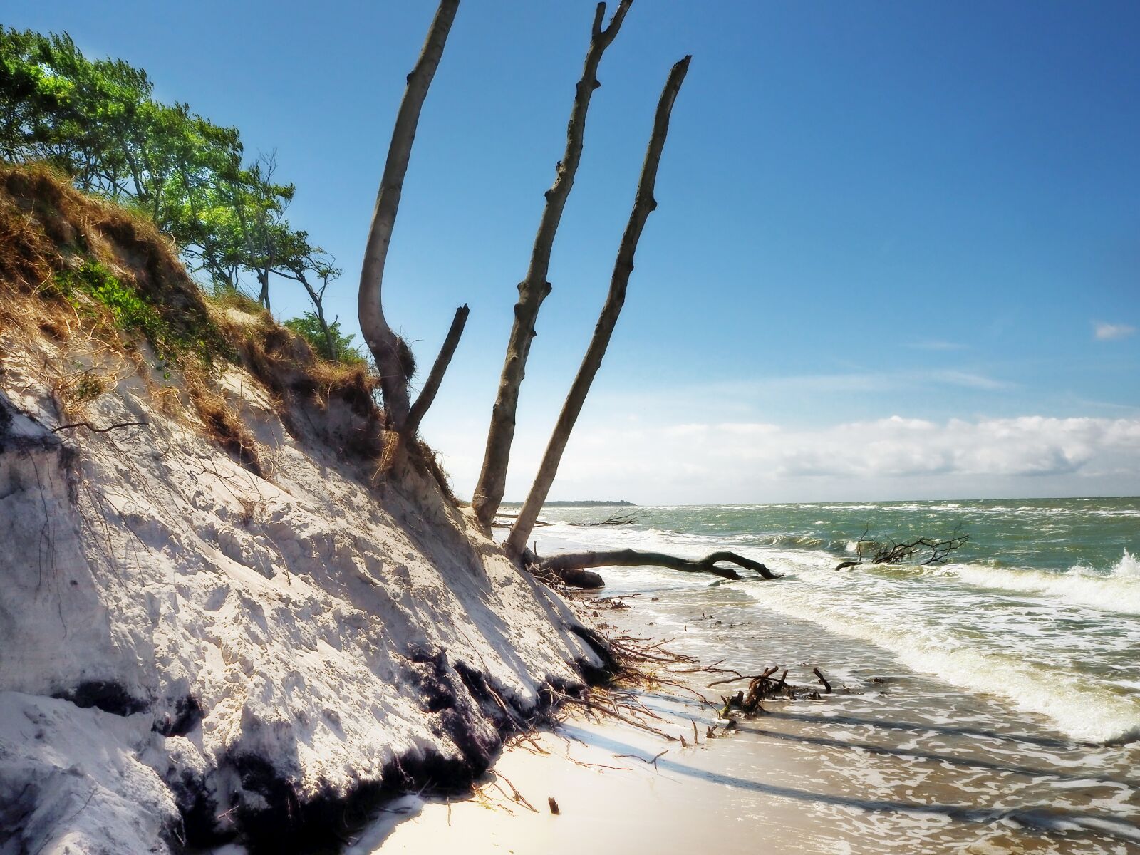 Olympus OM-D E-M10 II sample photo. Darß, baltic sea, coast photography