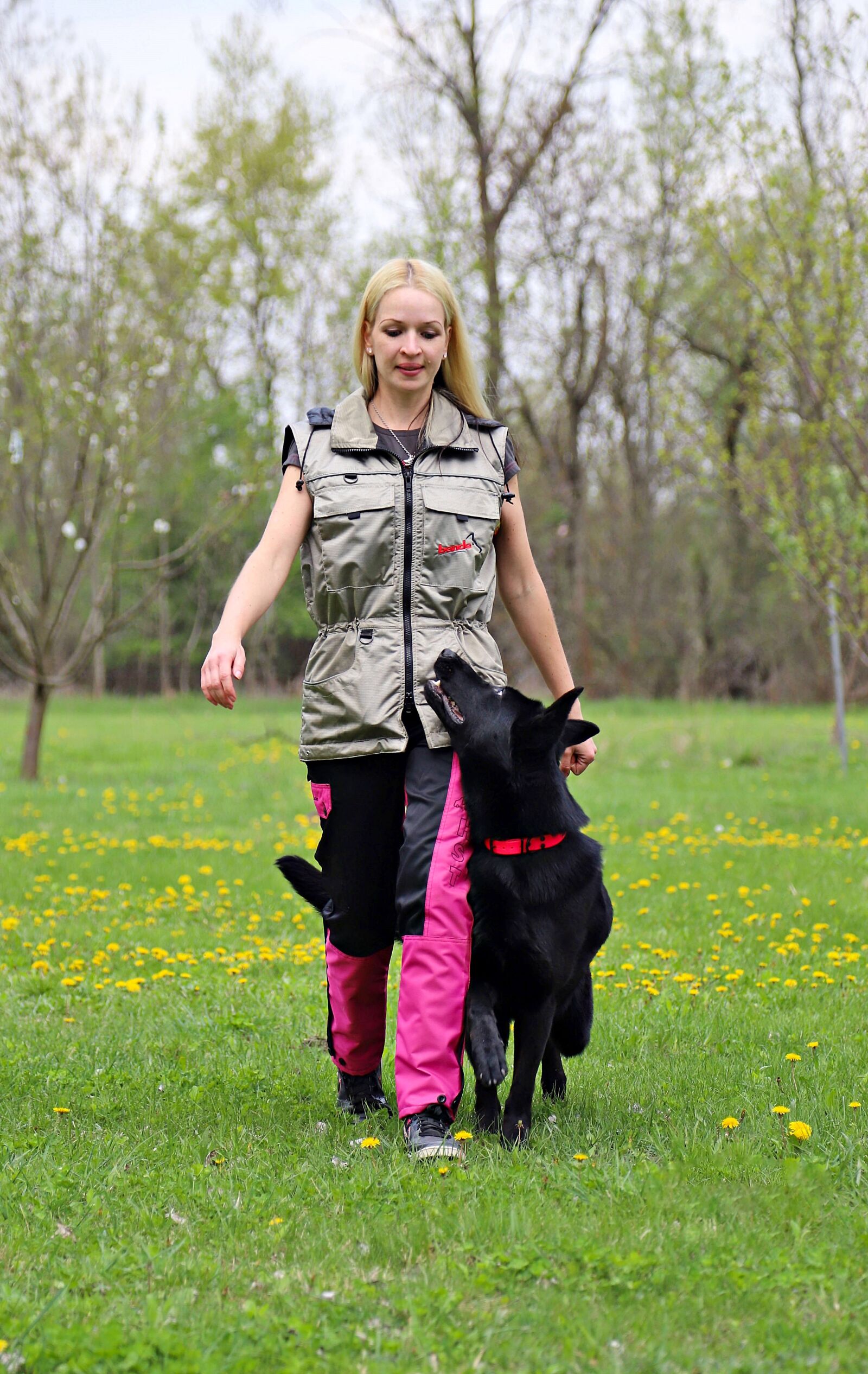 Canon EOS 6D Mark II sample photo. Black, german shepherd, dog photography