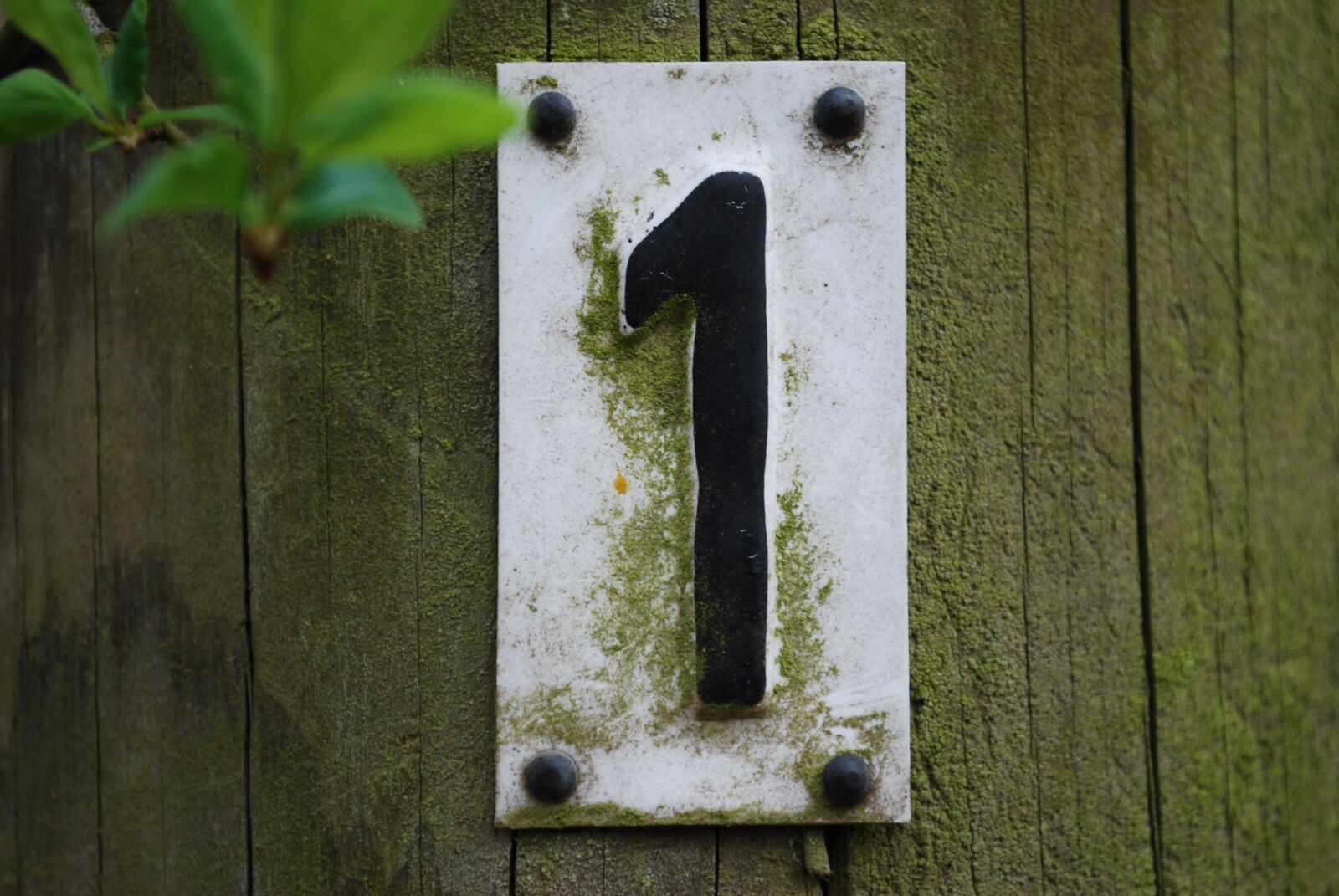 Nikon D60 sample photo. Wood, door, woods photography