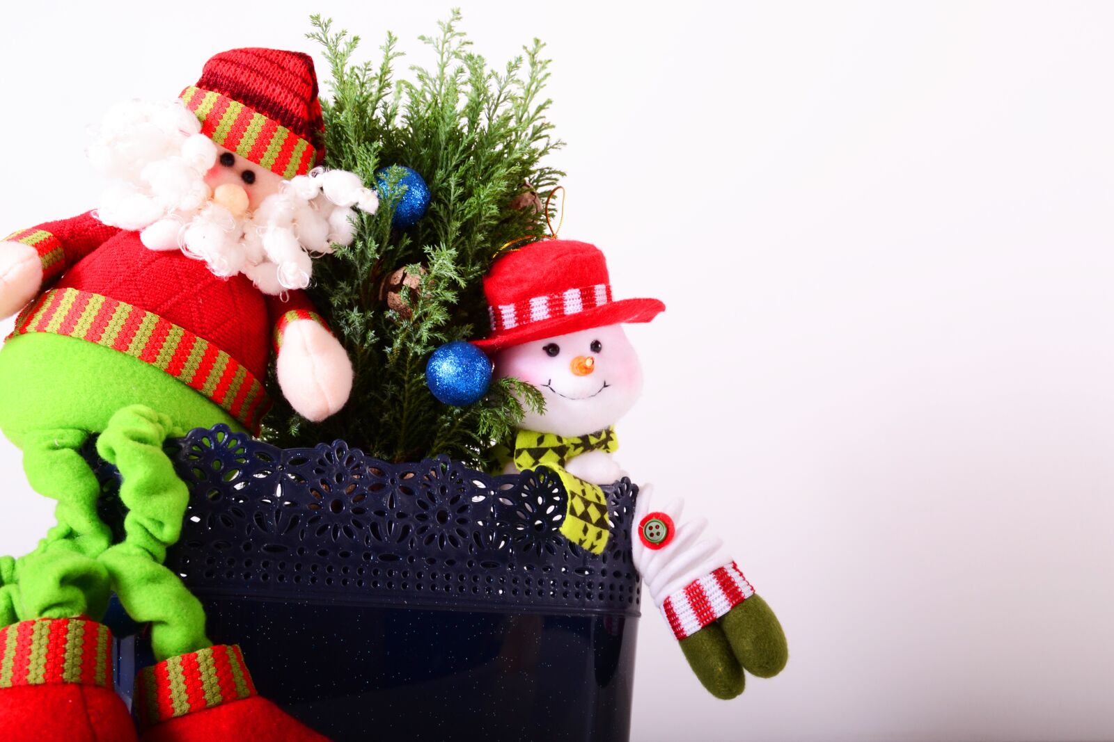 Nikon D3100 sample photo. Stars, flowerpots, plant photography
