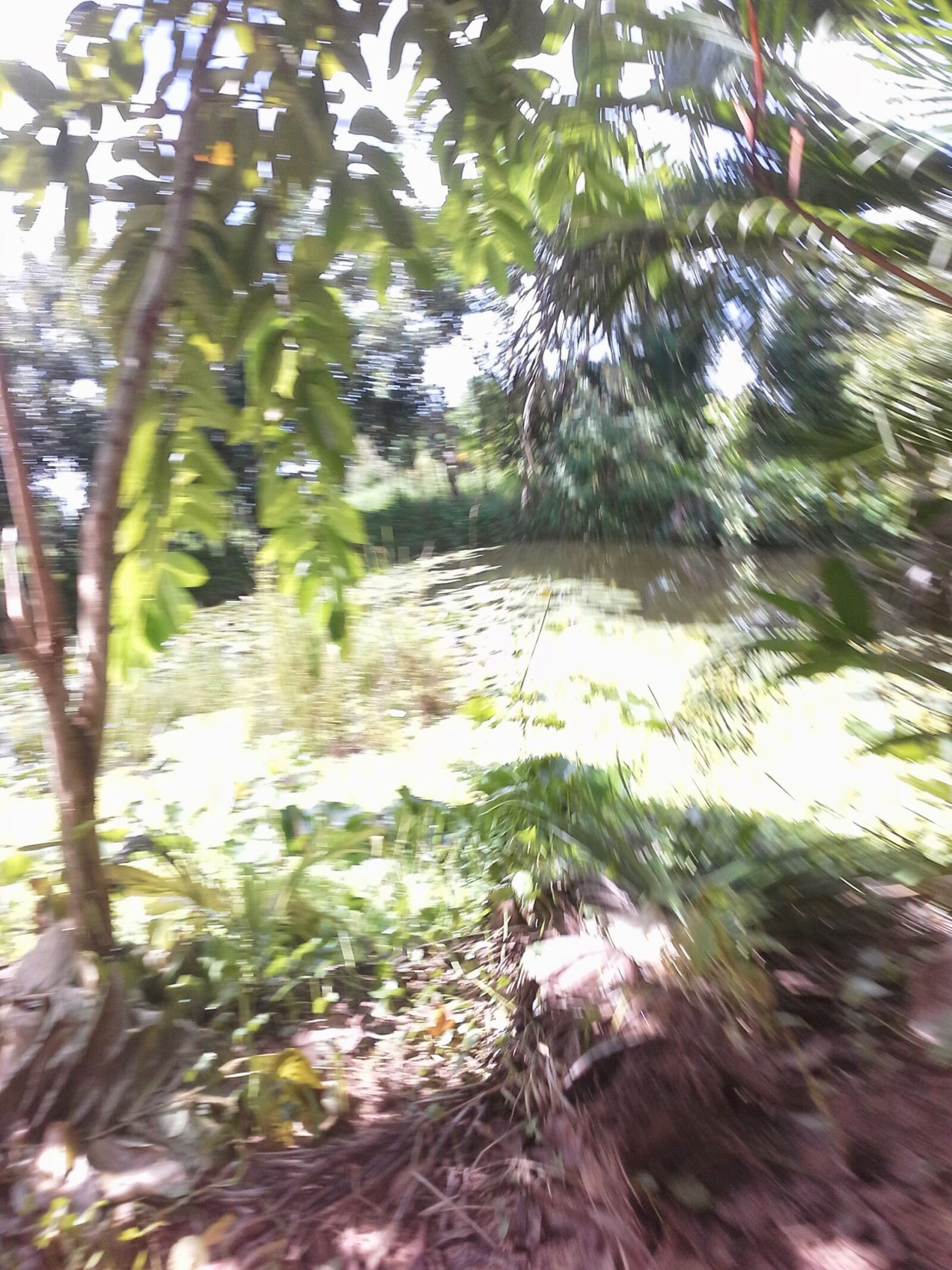 Samsung Galaxy Note 10.1 sample photo