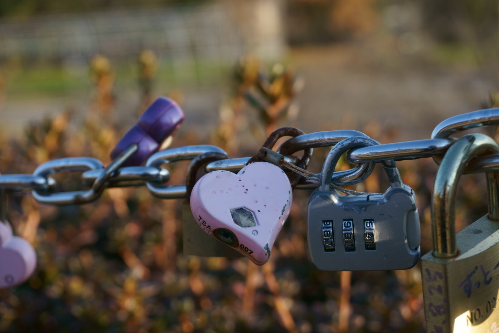 Sony E 16-50mm F3.5-5.6 PZ OSS sample photo. Promise, chain, love photography