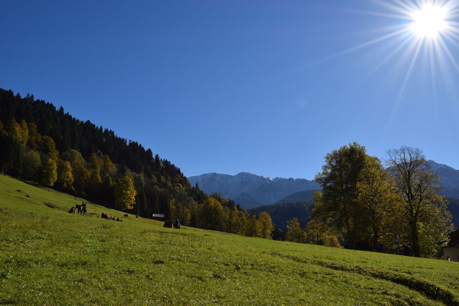 Nikon D3300 sample photo. Bavaria, mountains, alpine meadow photography