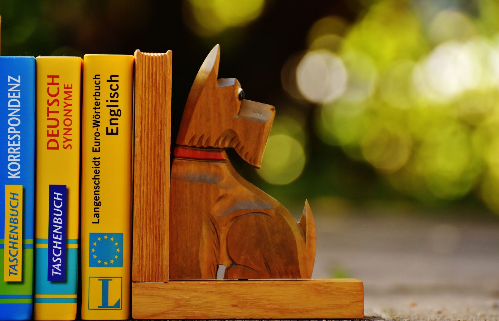 Nikon D7200 sample photo. Bookends, dog, books photography