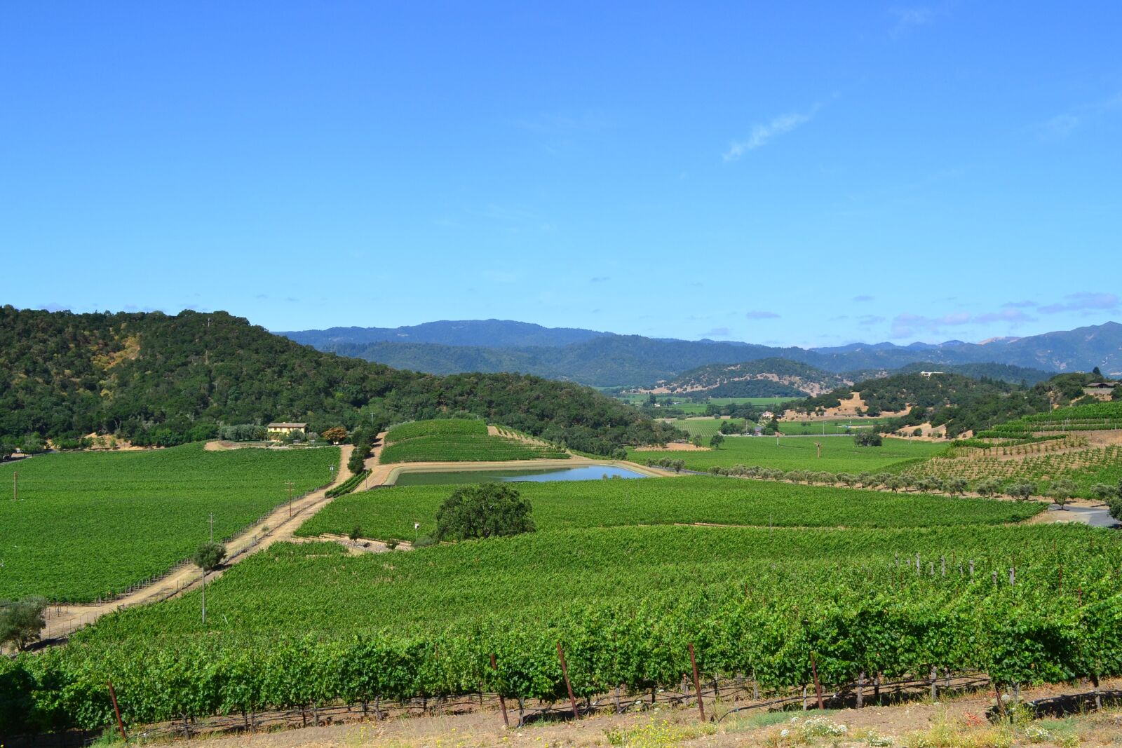 Nikon D3100 sample photo. Shafer, wines, winery photography