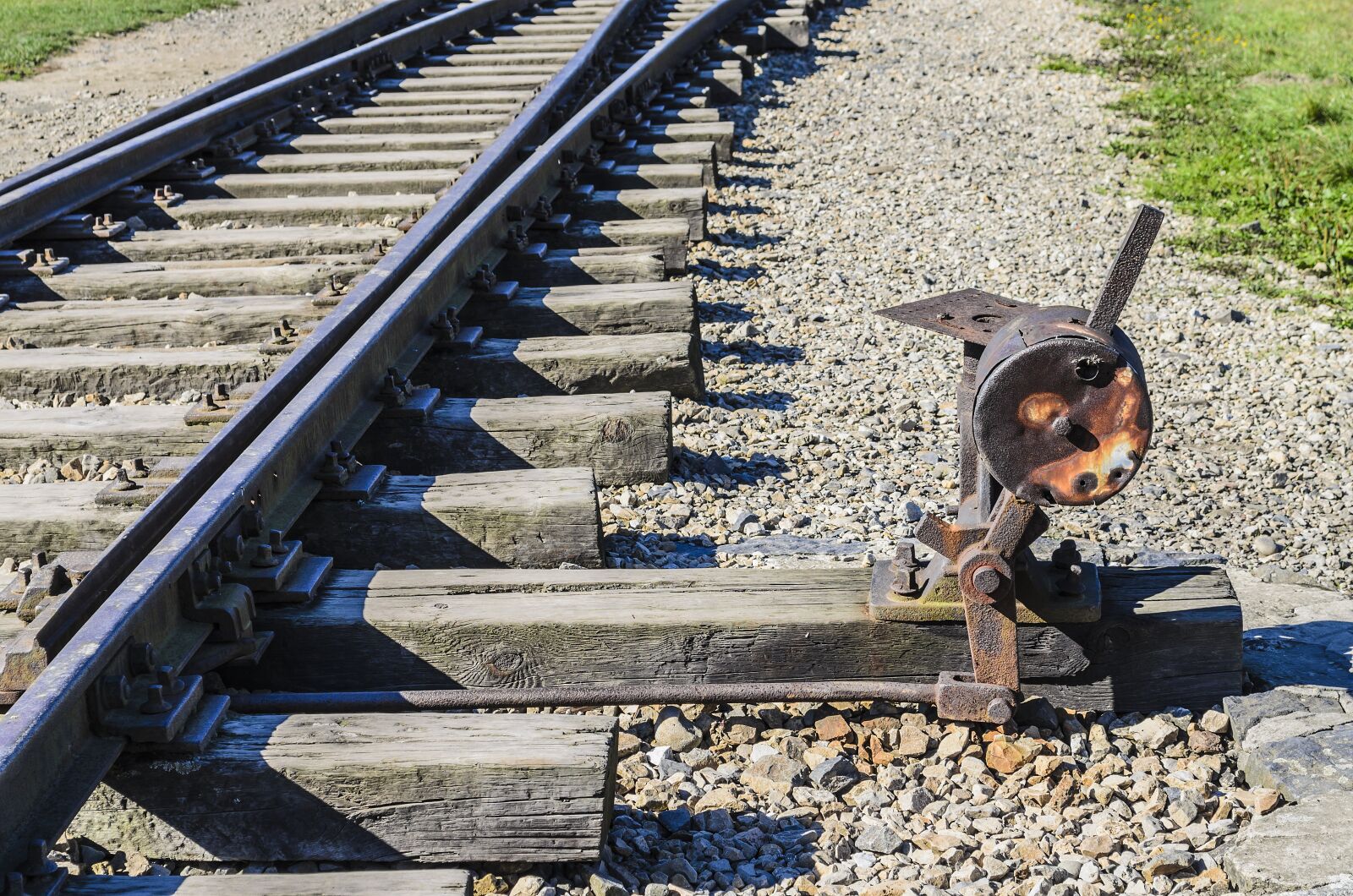 Nikon D5100 sample photo. Train, bill of exchange photography