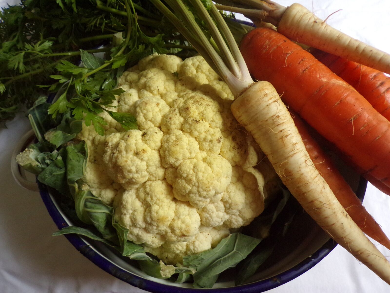 JK KODAK PIXPRO AZ421 sample photo. Vegetables, carrot, turnip photography