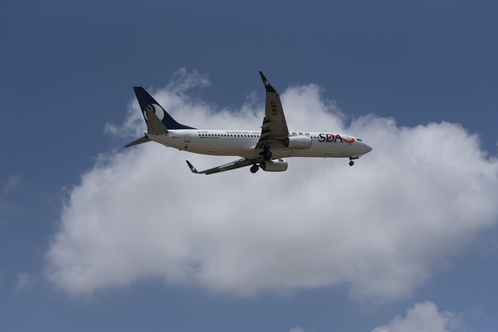 Nikon D750 sample photo. Plane, aircraft, jet photography