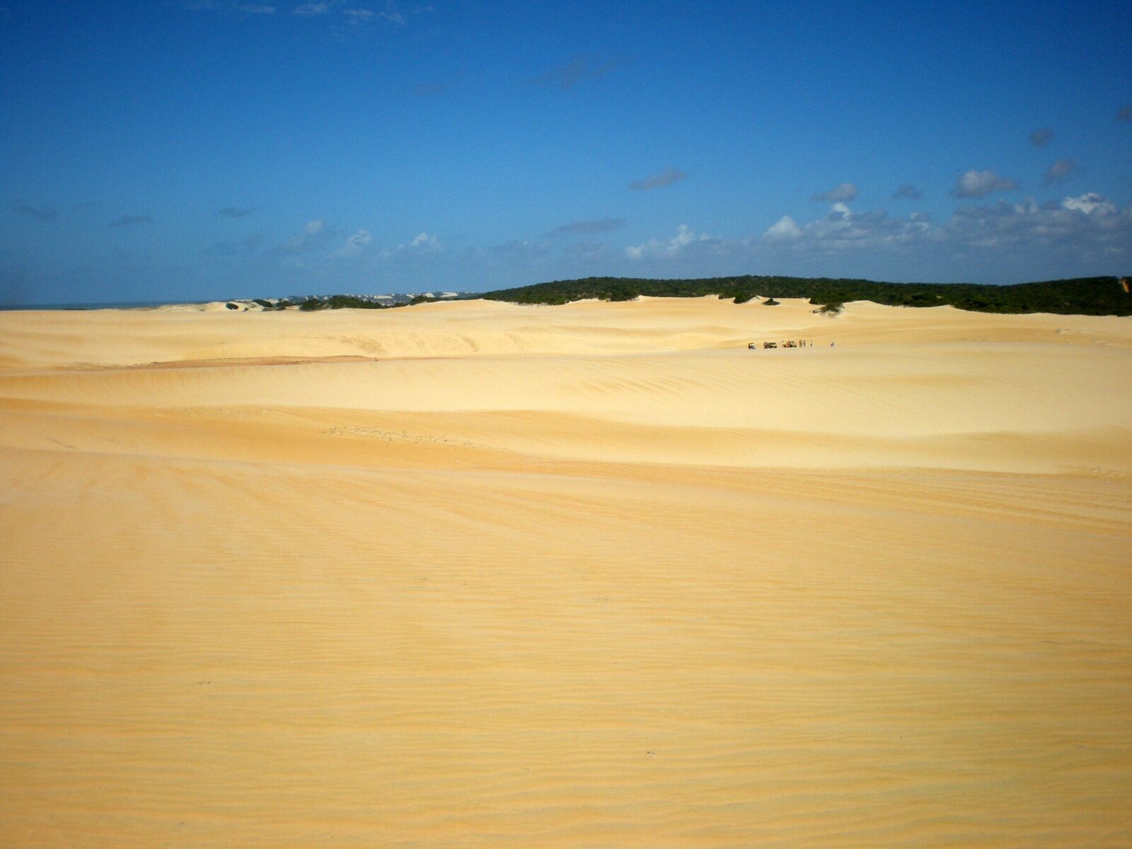 Nikon COOLPIX L14 sample photo. Sand, dunes, natal photography