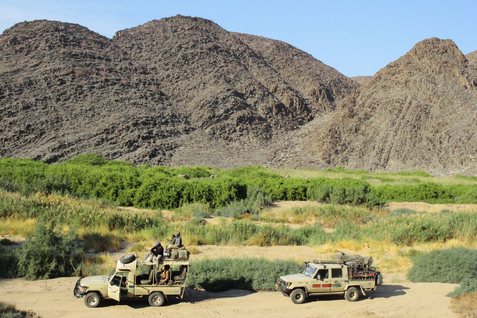Canon EOS 550D (EOS Rebel T2i / EOS Kiss X4) sample photo. Namibia, safari, africa photography