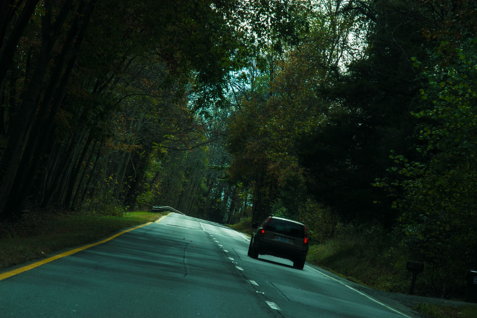 Nikon D3300 sample photo. Car, forest, highway photography